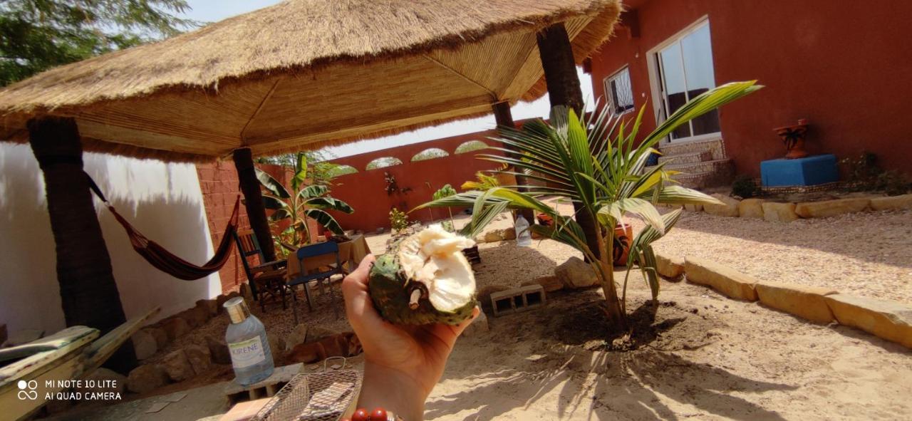 Zion - Lily'S Paradise Toubab Dialo Extérieur photo